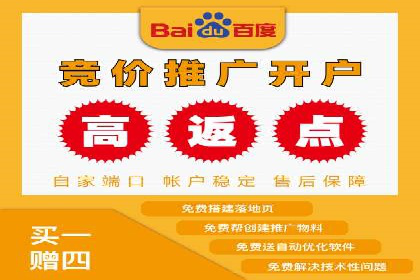 案例解析：信息流广告精准投放策略